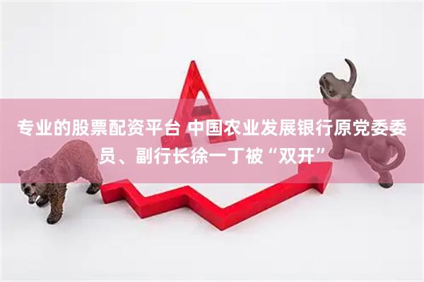 专业的股票配资平台 中国农业发展银行原党委委员、副行长徐一丁被“双开”